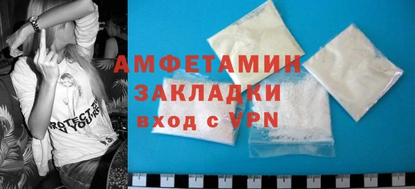 молекула духа Вязьма