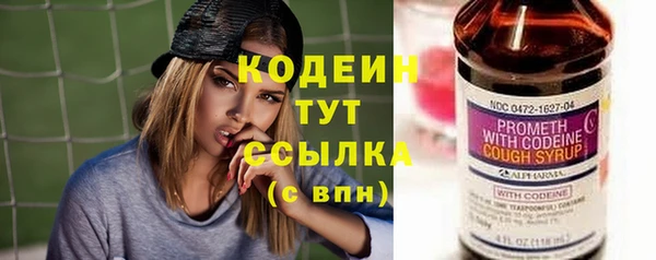 мяу мяу мука Арсеньев