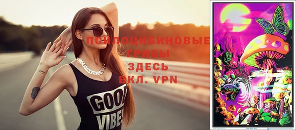 молекула духа Вяземский