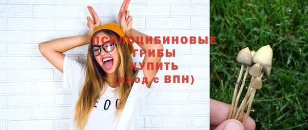 мяу мяу мука Арсеньев