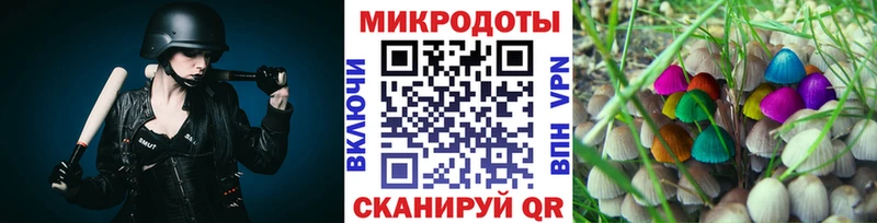 Псилоцибиновые грибы GOLDEN TEACHER Таруса